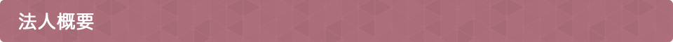 法人概要