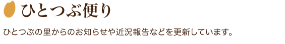 ひとつぶ便り
